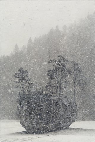 Island in the Snow